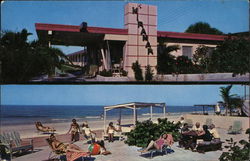 Miramar Motel Apartments St. Petersburg, FL Postcard Postcard Postcard