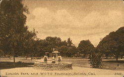 Lincoln Park and W.C.T.U. Fountain Selma, CA Postcard Postcard Postcard