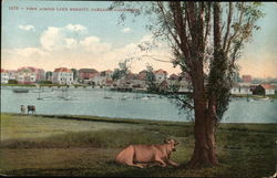 View Across Lake Merritt Postcard