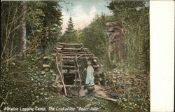 Maine Logging Camp - The Cook at the "Bean-Hole" Postcard Postcard Postcard