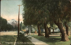 Scene From the City Park Postcard