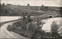 View of Swan Lake Postcard