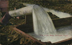 One of the Wells Postcard