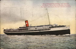 New Palatial Steamship "Avalon" Steamers Postcard Postcard Postcard