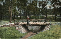 Rustic Bridge, Rock Hill Park Postcard