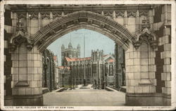 Gate, College of the City of New York Postcard