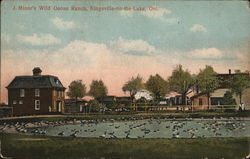 J. Miner's Wild Goose Ranch Kingsville-on-the-Lake, ON Canada Ontario Postcard Postcard Postcard