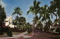 Residential Area Palm Beach, FL Postcard Postcard Postcard