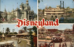 Views of Disneyland Postcard