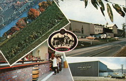 Gold Seal Vineyards, Keuka Lake Hammondsport, NY Postcard Postcard Postcard