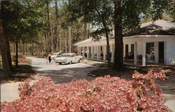 Sea Gull Court Biloxi, MS Postcard Postcard Postcard