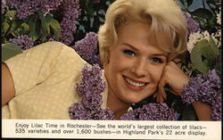 Enjoy Lilac Time in Rochester Postcard