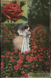 Woman by Rose Bushes with Inset of American Beauty Red Rose Advertising Postcard Postcard Postcard