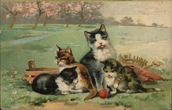 Kittens Playing Postcard