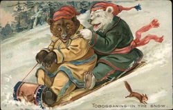 Toboganning in the Snow Bears Postcard Postcard Postcard