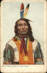 Chief Bear Goes in the Woods Native Americana Postcard Postcard Postcard