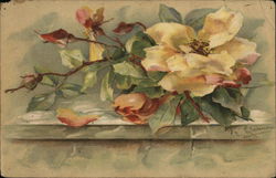 Painting of Roses C. Klein Postcard Postcard Postcard