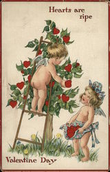 Valentine Day Postcard