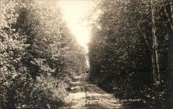 Road To Weaver's Cottages and Resort Postcard