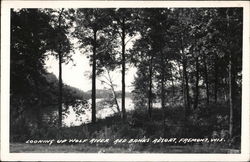 Looking Up River, Red Banks Resort Postcard