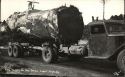 Log Hauling On The Oregon Coast Highway Postcard