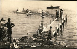 Weaver's Cottages and Resort Postcard