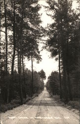 Road Scene in Northern Wis. Wisconsin Postcard Postcard Postcard