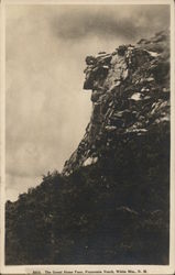 The Great Stone Face (Old Man In The Mountain) Franconia Notch, NH Postcard Postcard Postcard