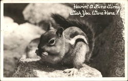 Havin' a Fine Time, Wish You Were Here! Postcard