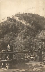 Deer Leap From Lone Trail Lodge Postcard