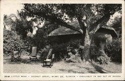 Little Wood Coconut Grove Miami, FL Postcard Postcard Postcard