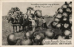 Cousin Purnell's Onion Crop, Van Buren, Arkansas, Home of Bob Burns Exaggeration Postcard Postcard Postcard