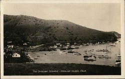 The Catalina Isthmus Postcard