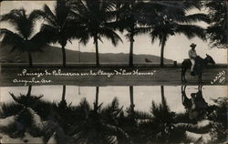 Passaje de Palmeras en la Playa de los Hornos Postcard