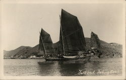 Full Sail Fishing Boats, Hong Kong Asian Postcard Postcard Postcard