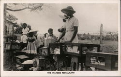 The Wayside Restaurant Jamaica Postcard Postcard Postcard