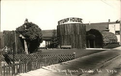 The Stump House Eureka, CA Postcard Postcard Postcard