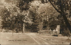 Spring at Bush Park Joliet, IL Postcard Postcard Postcard