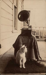 Teddy the Cat with Gramophone & Records Cats Postcard Postcard Postcard