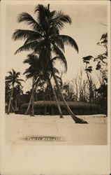 Tahiti Beach Miami, FL Postcard Postcard Postcard