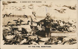 A Good Day For Ducks, At the Pas, Manitoba Postcard