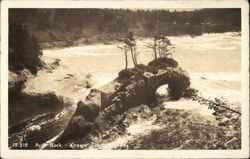 Arch Rock, Oregon Coast Highway Taft, OR Postcard Postcard Postcard