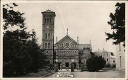 R. C. Cathedral Thurles, Ireland Postcard Postcard Postcard