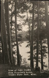 View of Lake Itaska from Preacher's Grove, Itasca State Park Postcard