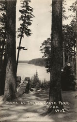 Itaska State Park Postcard