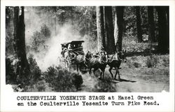 Coulterville Yosemite Stage at Hazel Green Horse-Drawn Postcard Postcard Postcard