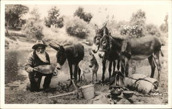 Peter Voiss Panning for Gold Postcard