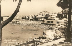 Aquatic Park San Francisco, CA Postcard Postcard Postcard