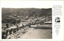 View of Town and Beach, Avalon Santa Catalina Island, CA Postcard Postcard Postcard