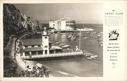 Avalon - Catalina Yacht Club Postcard